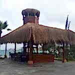 DATÇA BEACH CLUP, PAVİLİON
KAMELYA, ÇARDAK, GAZEBO,
PERGOLA, CABANA
AHŞAP OTEL,
AHŞAP BAHÇE MOBİLYALARI, DATÇA AHŞAP BEACH CLUP